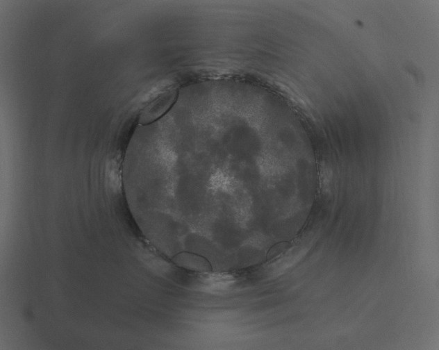 X0000116570719200912241634