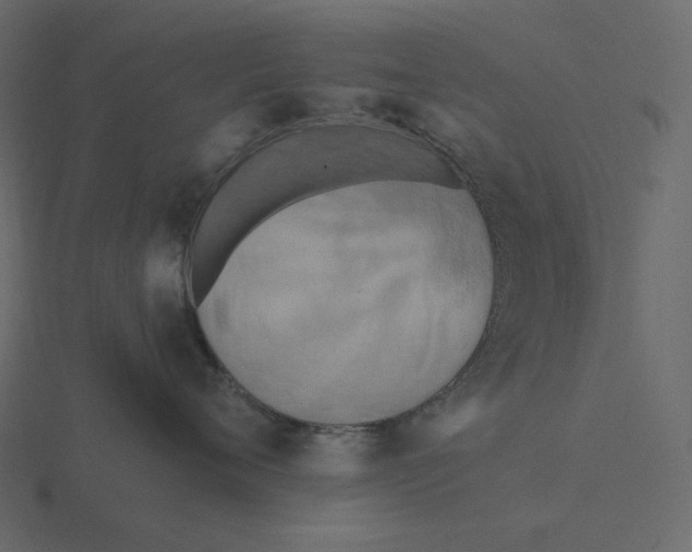 X0000116570720200912241634