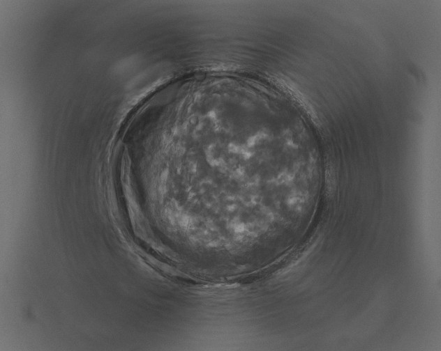 X0000116570721200912241634