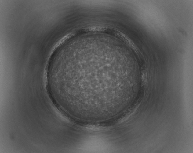 X0000116570725200912241634