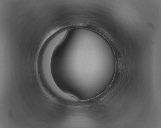 X0000116570726200912241634