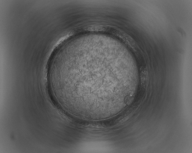 X0000116570727200912241634