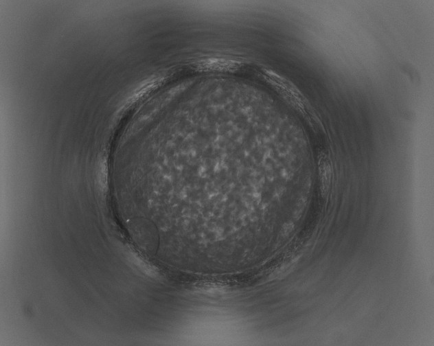 X0000116570729200912241634