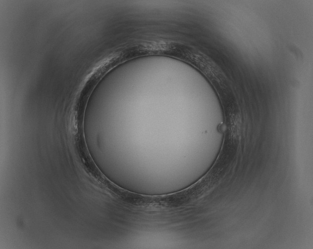 X0000116570731200912241634