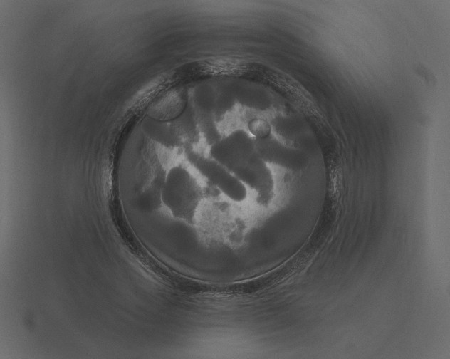 X0000116570733200912241634