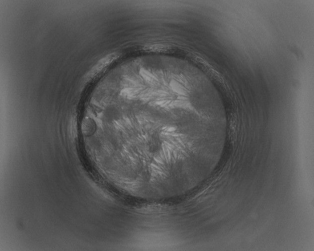 X0000116570734200912241634