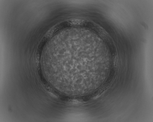 X0000116570737200912241634