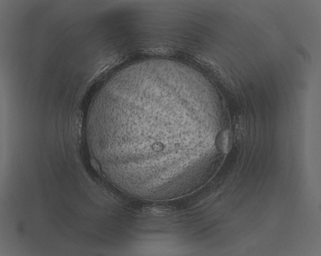 X0000116570739200912241634