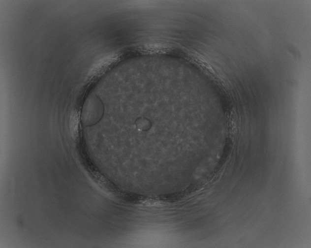 X0000116570742200912241634