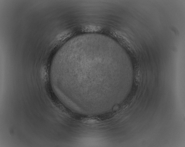 X0000116570743200912241634