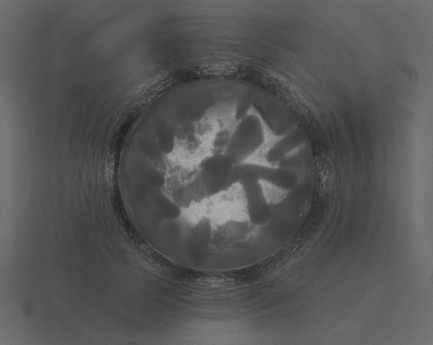 X0000116570745200912241634