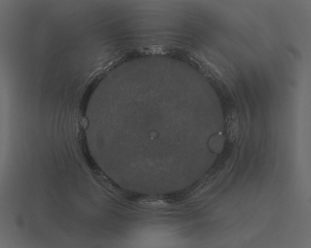 X0000116570747200912241634