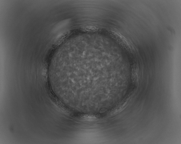 X0000116570749200912241634