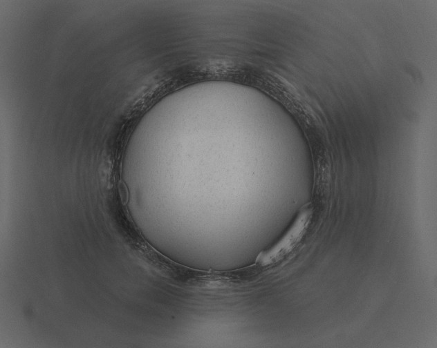 X0000116570750200912241634