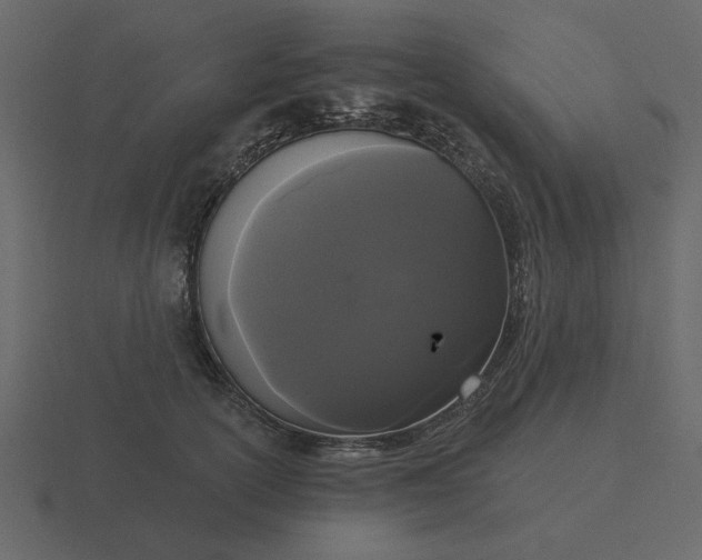 X0000116570754200912241634