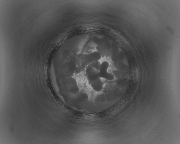 X0000116570757200912241634