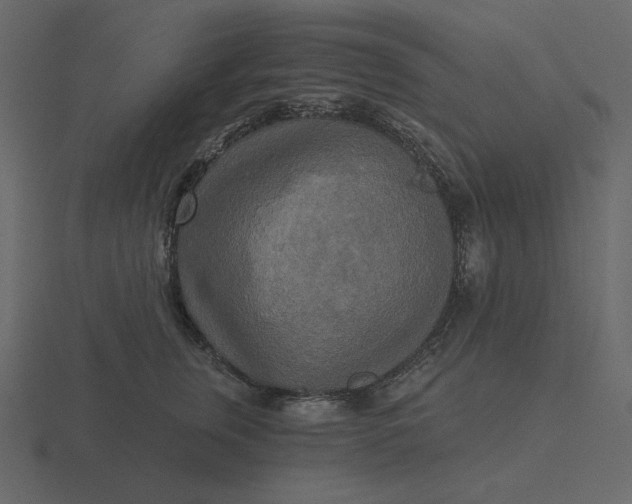 X0000116570759200912241634