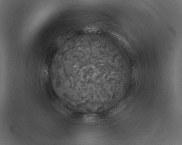 X0000116570761200912241634