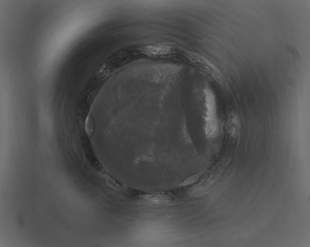 X0000116570763200912241634