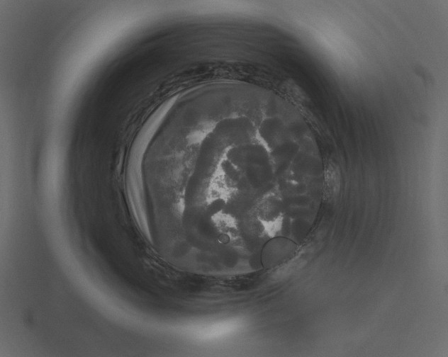 X0000116570765200912241634