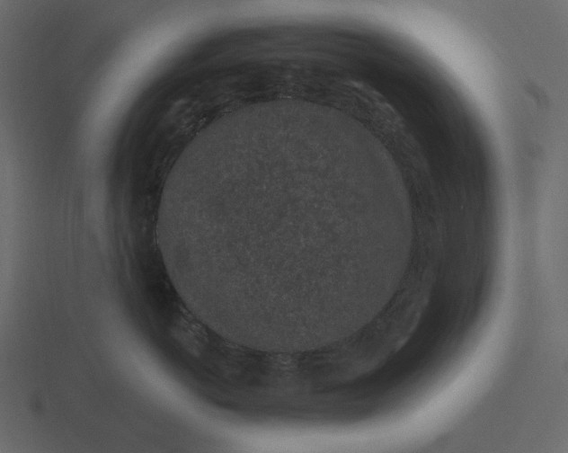 X0000116570766200912241634