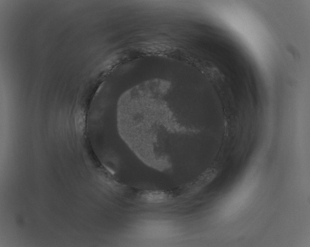 X0000116570767200912241634