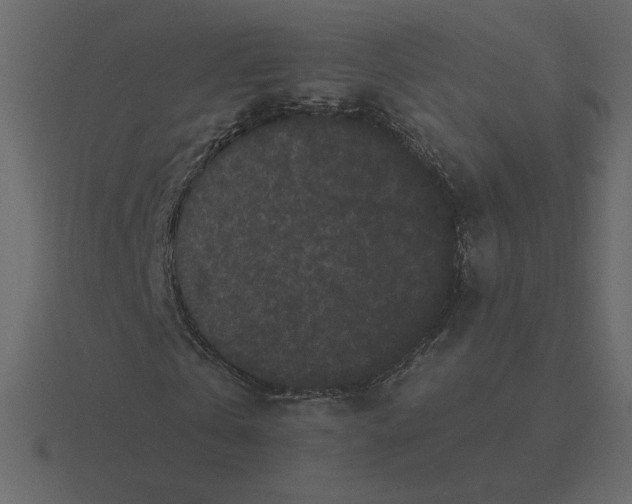 X0000116570769200912241634