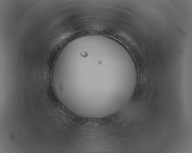 X0000116570773200912241634