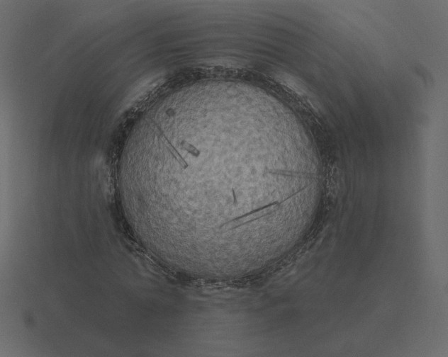 X0000116570774200912241634