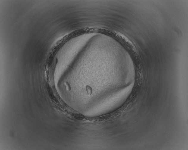 X0000116570775200912241634