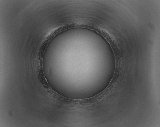 X0000116570776200912241634