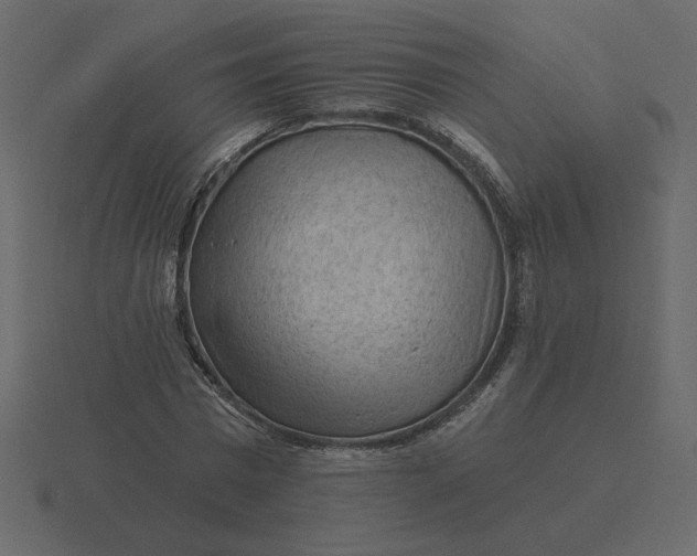 X0000116570777200912241634