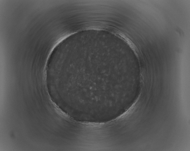 X0000116570779200912241634