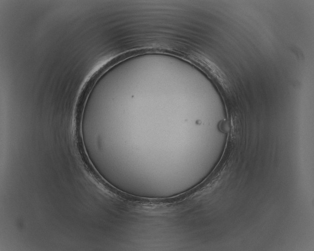 X0000116570780200912241634