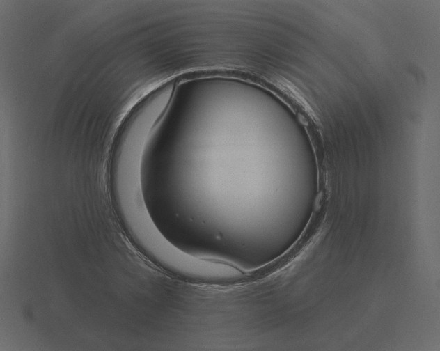 X0000116570781200912241634