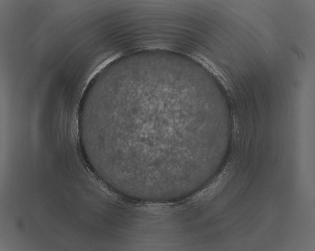 X0000116570782200912241634