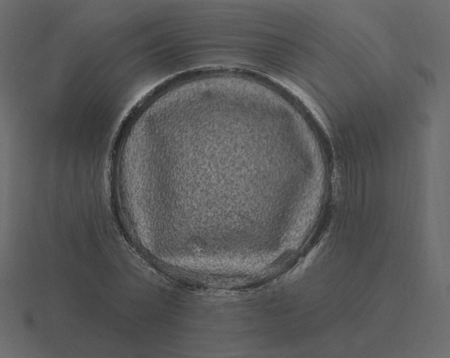 X0000116570783200912241634