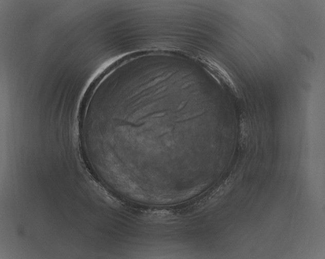 X0000116570784200912241634