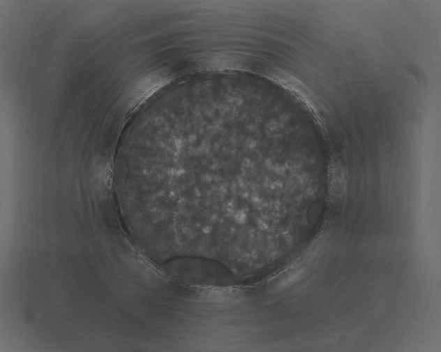 X0000116570785200912241634