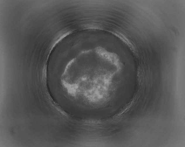 X0000116570790200912241633