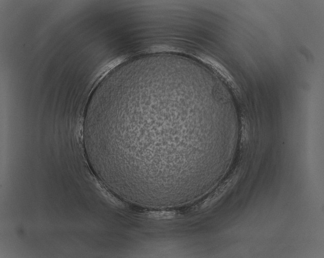 X0000116570793200912241633