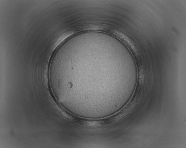 X0000116570794200912241633