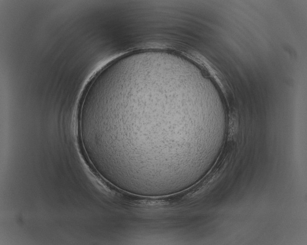 X0000116570795200912241633