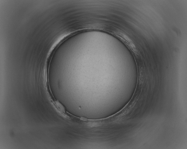 X0000116570796200912241633