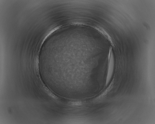 X0000116570798200912241633