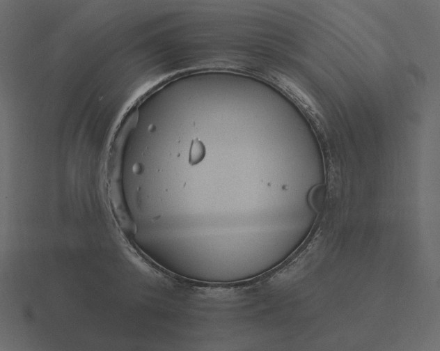 X0000116570800200912241633