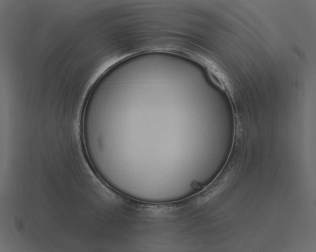 X0000116570803200912241633