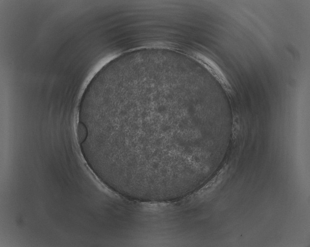 X0000116570804200912241633