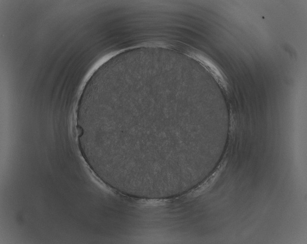 X0000116570808200912241633