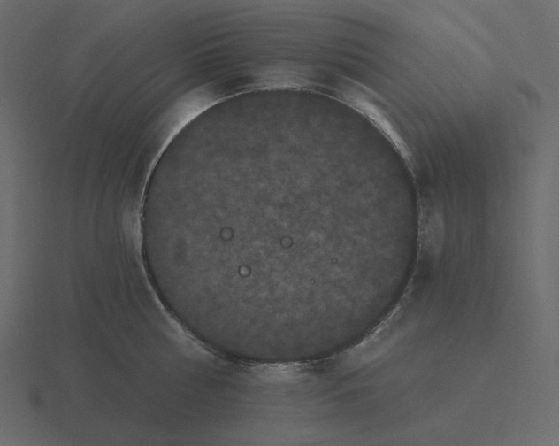 X0000116570810200912241633